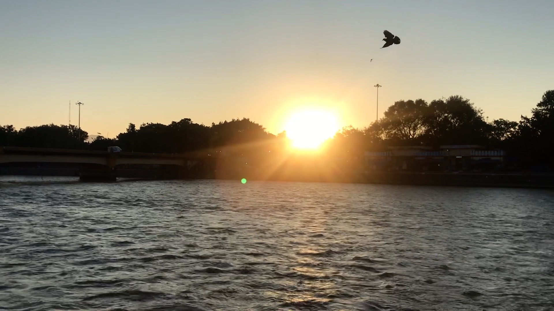 Vitamin D